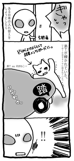 決定的瞬間を見た!