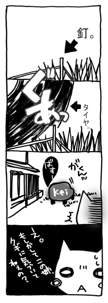 決定的瞬間を見られた!