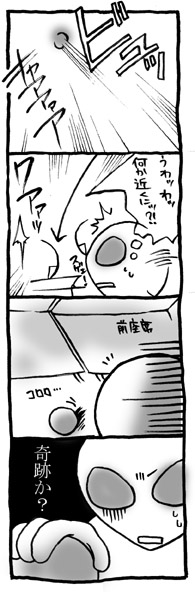ヽ(゚Д゚;)ノ!!